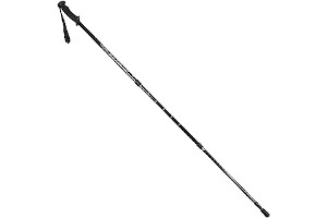 51qQIfz6rHL._AC_UL320_