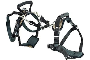 61UpA4yzOTL._AC_UL320_