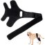 Ortesis De Rodilla Para Perros
