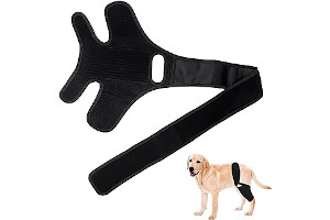 61eOy8gKahL._AC_UL320_